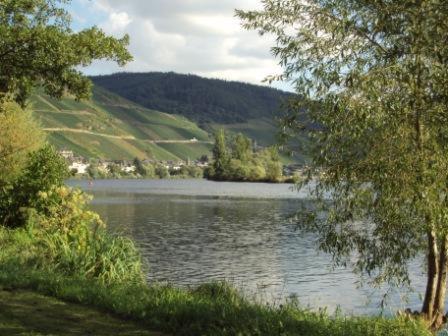 Gastehaus Sabine Hotel Zell an der Mosel Exterior photo